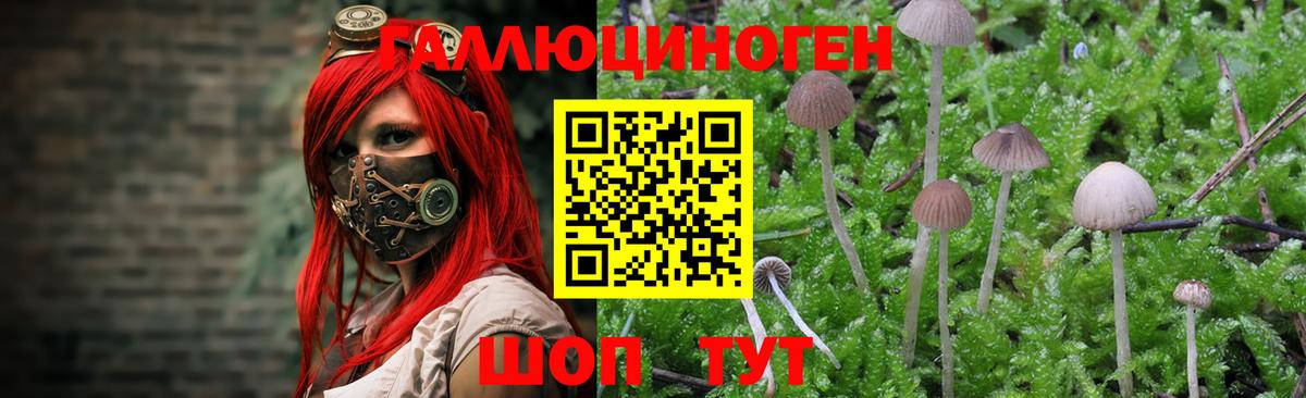 даркнет сайт  Вход с VPN  Кинель  Галлюциногенные грибы мухоморы 